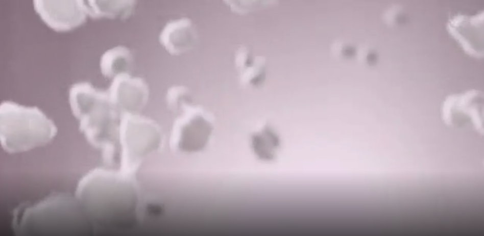 红豆绒柔暖型内衣